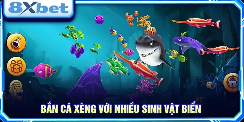 Bắn cá xèng với nhiều sinh vật biển