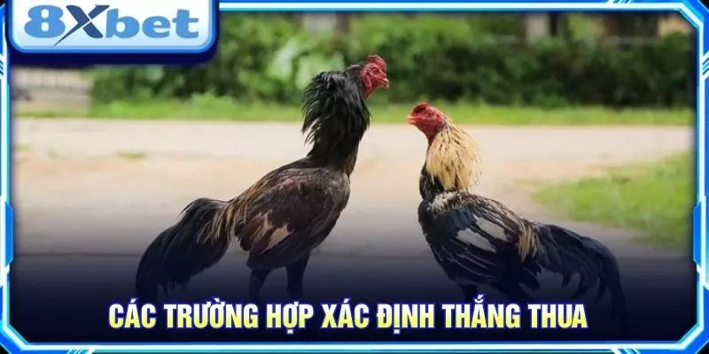 Các trường hợp xác định thắng thua 