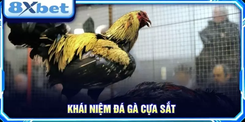 Khái niệm đá gà cựa sắt
