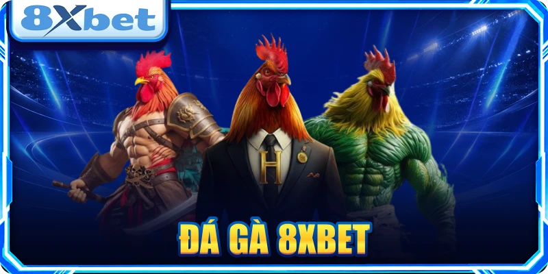 Đá gà 8XBET