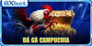 Đá Gà Campuchia: Cẩm Nang Xem Trực Tiếp Và Soi Kèo Chuẩn