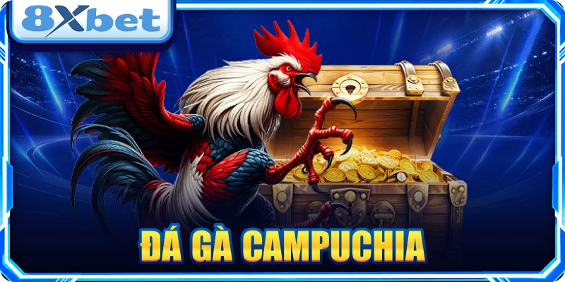 Đá Gà Campuchia: Cẩm Nang Xem Trực Tiếp Và Soi Kèo Chuẩn