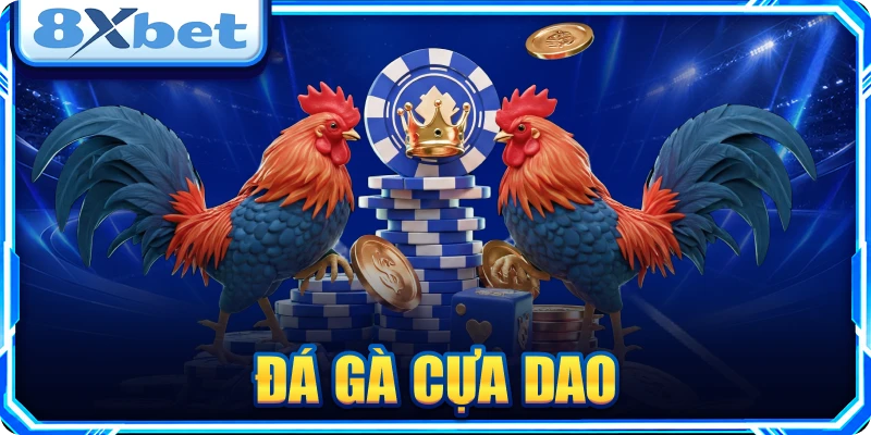 Đá gà cựa dao