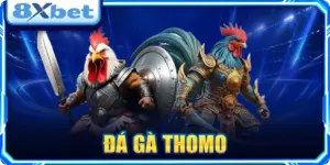 Đá Gà Thomo: Mẹo Đọc Kèo & Nhận Diện Chiến Kê Thắng Lớn