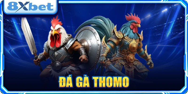 Đá Gà Thomo: Mẹo Đọc Kèo & Nhận Diện Chiến Kê Thắng Lớn