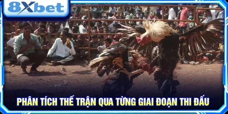 Phân tích thế trận qua từng giai đoạn thi đấu