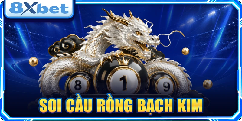 Soi Cầu Rồng Bạch Kim: Đọc Dữ Liệu Chuẩn, Chọn Số Tỉnh Táo