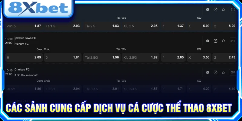 Tổng hợp các sảnh thể thao cùng danh mục bộ môn và giải đấu nổi bật