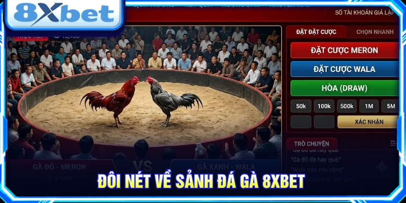 Tổng quan sảnh đá gà 8XBET với giao diện trực quan và thông tin trận đấu.